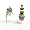 Hanging Vine Plant With Green Leaves And Three Tiered Spherical Topiary In Patterned Ceramic Pot