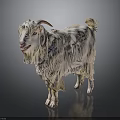White Goat With Long Hair Horns And Blue Collar Standing On Dark Background