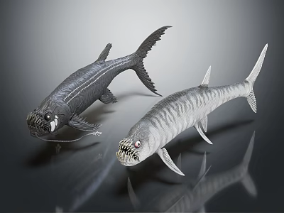 Two Fierce Looking Aquatic Animals With Black And Silver Streamlined Bodies And Sharp Teeth 3d model