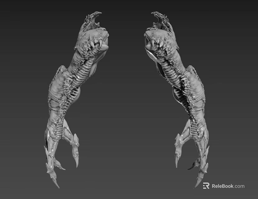 Symmetric Alien Monster Game Movie Character 3D Model With Skeletal Structure And Sharp Teeth 3d model 