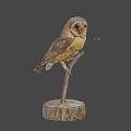 Game Movie Character Stuffed Owl Perched On Wooden Stump With Gray Background