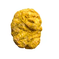 Yellow Sponge Natural Marine Animal With Textured Surface In Underwater Habitat