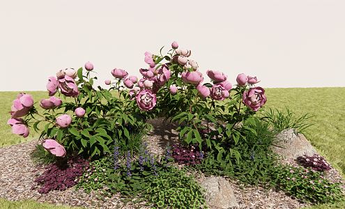 modern flower peony flower 3d model