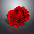 Red Rose with Layered Petals Shiny Surface and Reflection on Gray Background 3d model