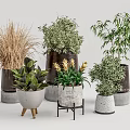 Diverse Potted Bonsai Plants Featuring Various Greenery And Stylish Decorative Pots