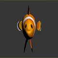 Clownfish 3D Model Featuring Orange White Stripes And Black Edges Fins With Reflection
