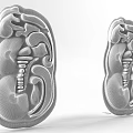 Elegant Green Jade Carved Pendants With Symmetrical Patterns Traditional Jewelry Artistic Design