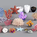 Colorful Marine Ornament Collection With Starfish Coral Seashell And Diverse Decorative Pieces