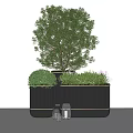 Modern Plant Arrangement with Black Striped Planters and Tall Short Greenery