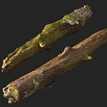 Natural Stone Wood Logs With Green Moss And Textured Surface