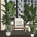 Indoor Window Plant Combination With Large Leaf Greenery And Accent Chair Decor
