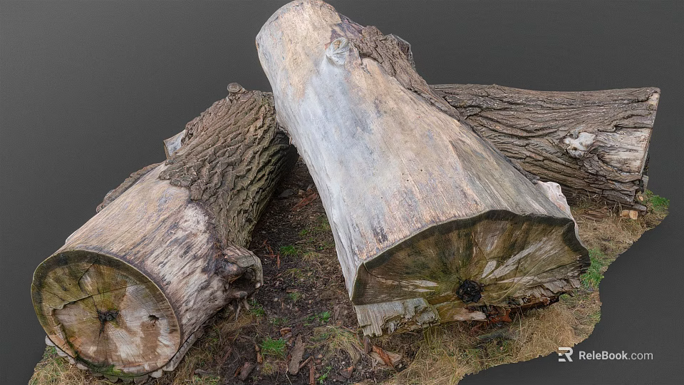 Natural Wood Stone Logs with Rough Texture and Organic Patterns 3d model 