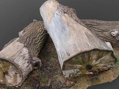 Natural Wood Stone Logs with Rough Texture and Organic Patterns 3d model