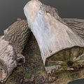 Natural Wood Stone Logs with Rough Texture and Organic Patterns 3d model