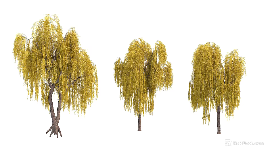 Weeping Willow Trees With Yellow Leaves And Various Weeping Branch Forms 3d model 