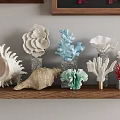 Nautical Decorative Ornament Set With Starfish Seashells Corals On Wooden Shelves And Frame