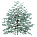 Lush Green Arbor Trees With Dense Foliage And Various Heights In Natural Scene