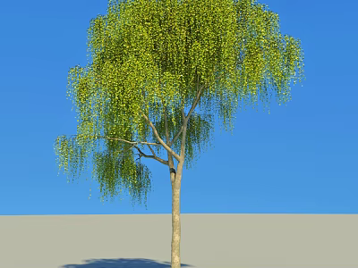 Tall Arbor With Green Hanging Leaves Against Blue Sky And Gray Ground 3d model