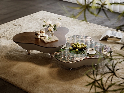 Modern Italian Style Coffee Table Light Luxury Female and Female Coffee Table Minimalist Coffee Table Marble Coffee Table Jewelry Combination Pile Carpet model