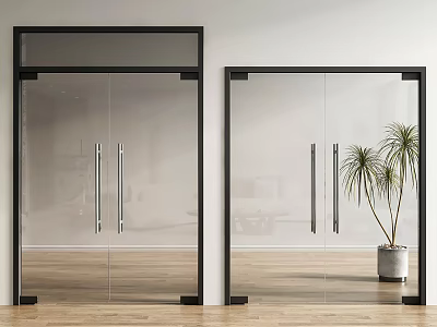 Modern Glass Doors With Black Frames And Potted Plant In Interior Space 3d model