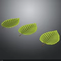 Three Fresh Green Plant Leaves with Visible Veins on Dark Background