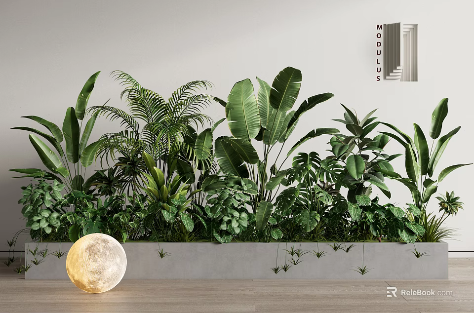 Indoor Green Potted Plants Arrangement With White Wall Wooden Floor And Moon Shaped Decor 3d model 