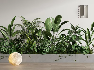 Indoor Green Potted Plants Arrangement With White Wall Wooden Floor And Moon Shaped Decor 3d model