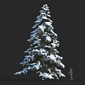 Snow Covered Pine Tree with Human Figure for Size Comparison Against Dark Background 3d model