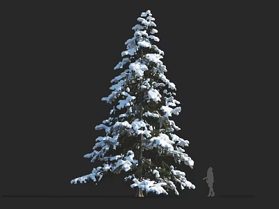 Snow Covered Pine Tree with Human Figure for Size Comparison Against Dark Background 3d model