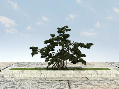 Pine Tree Growing On Stone Platform With Green Grass And Blue Sky 3d model