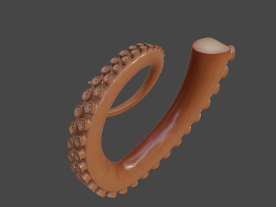 Realistic 3D Octopus Tentacle Model With Detailed Suckers And Brown Texture 3d model