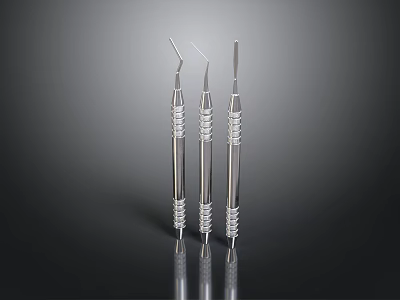Professional Stainless Steel Dental Tools With Spiral Handles And Fine Tips 3d model