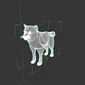Realistic Shiba Inu Dog Standing On Black Background 3D Rendered Model