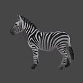 Realistic Standing Zebra Model With Detailed Black White Stripes And Lifelike Features