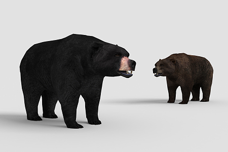 The Modern Bear 3d model