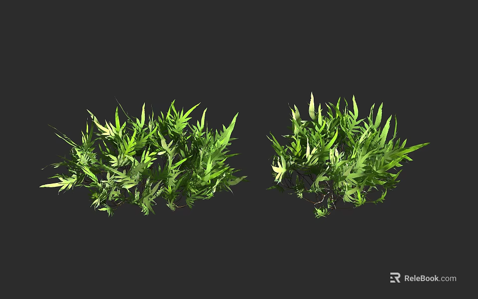 Ground Cover Plants With Lush Green Leaves For Garden Landscape Design 3d model 