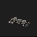 Medical Devices Animal Skull Anatomical Models Various Sizes Arranged for Educational