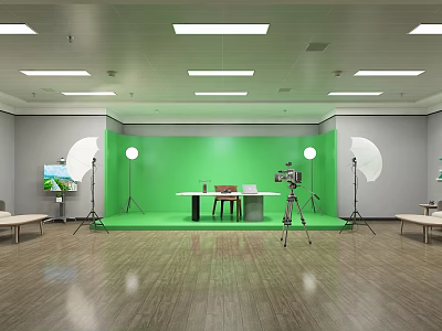 Spacious Public Office Space With Green Backdrop Wall Photography Softboxes And Wooden Floor 3d model