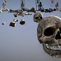 human skeleton suit bones human skeleton 3d model