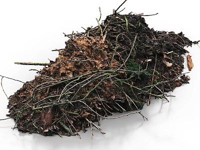 Natural Stone And Wood Mixture Containing Twigs Soil And Debris Pile 3d model
