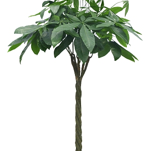 Green Plant 2D Plant Tree Silhouette 3d model