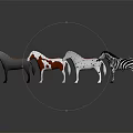 Colorful Toy Horse Figurines in Various Colors Standing on Gray Background with Reflections