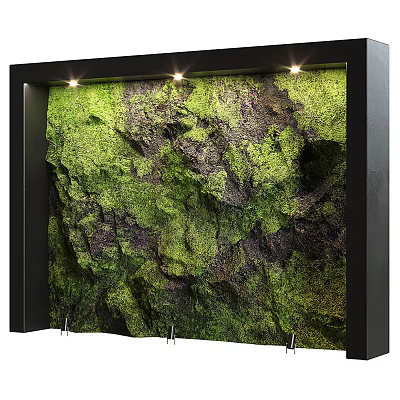 Green Moss Wall With Natural Texture And Black Frame Top Lighting Design 3d model