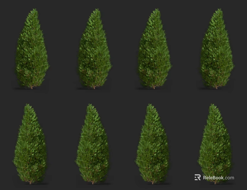 Evergreen Garden Shrubs With Conical Shape And Lush Green Foliage 3d model 
