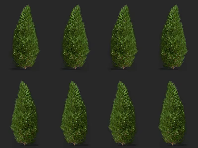 Evergreen Garden Shrubs With Conical Shape And Lush Green Foliage 3d model