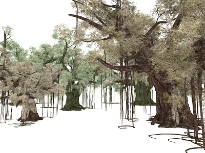 Lush Ancient Arbor Trees In Forest With Thick Trunks And Hanging Vines 3d model