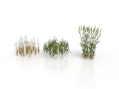 Various Types of Grass Clumps in Green and Brown for Landscaping Design Elements 3d model