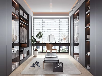 Modern Walk In Closet Design With Ample Storage And Natural Light 3d model