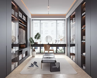 Modern Walk In Closet Design With Ample Storage And Natural Light 3d model