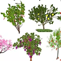 Modern Fruit Trees 3d model
